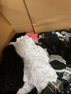 Walgreens Overstock Clothing & Accessories Pallet WGOS0201-638806